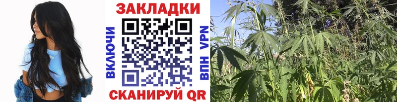 Магазины продажи наркотиков Поворино Alpha PVP  Меф  Амфетамин  Кокаин 