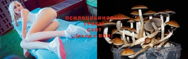 наркотики Горно-Алтайск