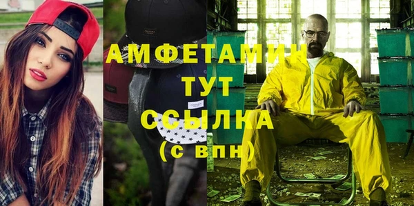 шишки Горнозаводск
