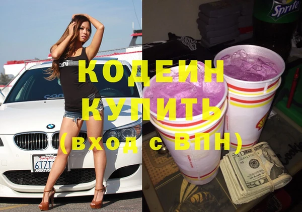 шишки Горнозаводск