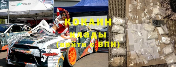 шишки Горнозаводск