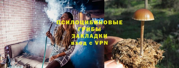 шишки Горнозаводск