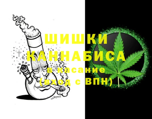 шишки Горнозаводск
