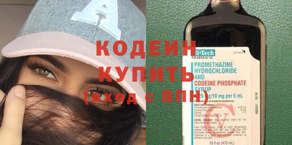 шишки Горнозаводск